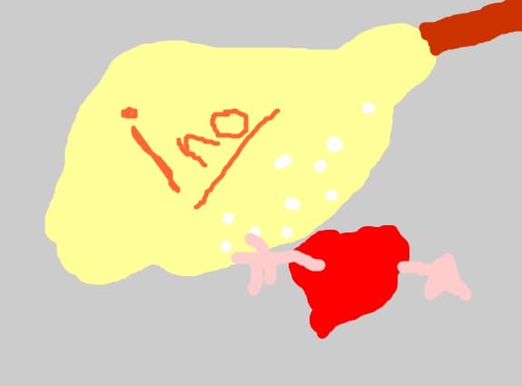 ino