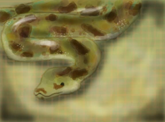 strogg\'s  pet :))