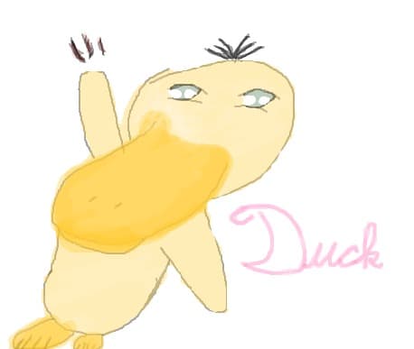 duck