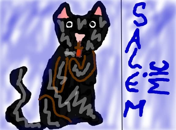 salem mic