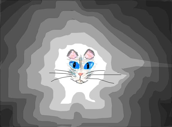 miau