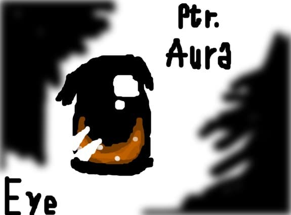 eye  ptr  aura
