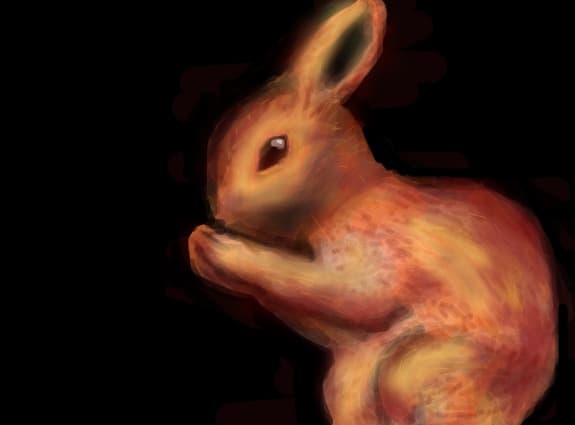 Bunny
