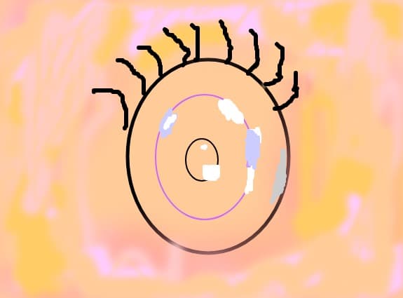 ochi de anime
