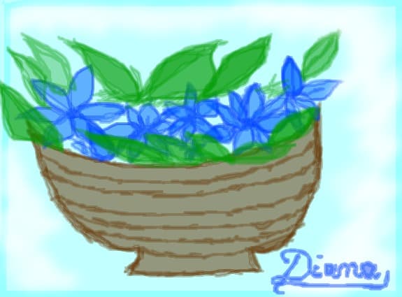 flori