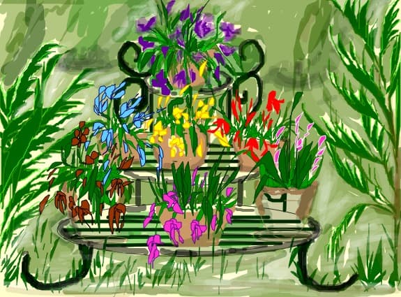 Desen 22284 modificat:gradina