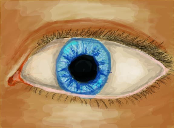 eye