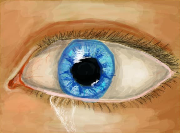 eye