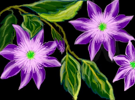 Desen 22548 modificat:flori