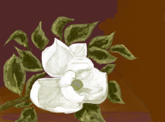Desen 12563 modificat:magnolie