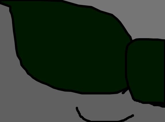 ochi