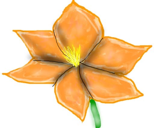 floare :x