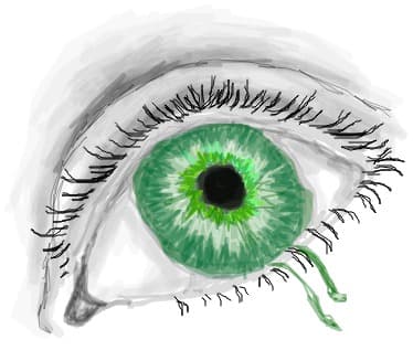 eye