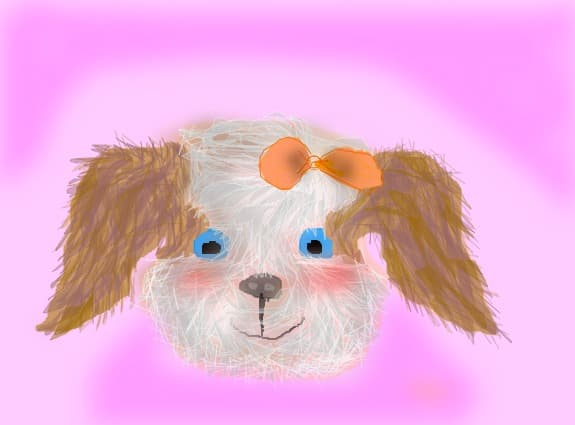 PuPPy