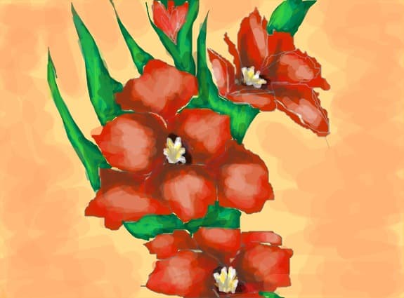 gladiole