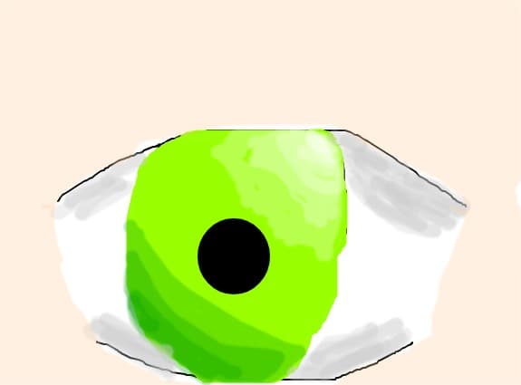 ochi