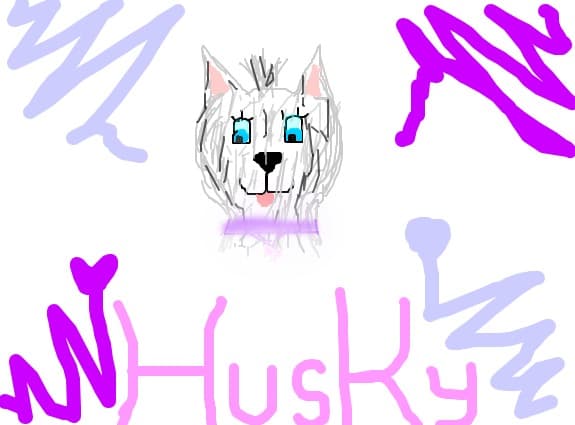 Sweety Husky