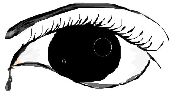 eye