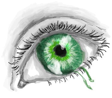 eye