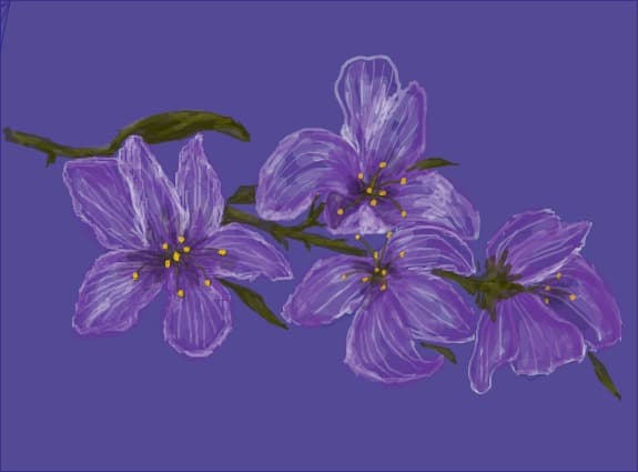 Desen 24902 modificat:flori