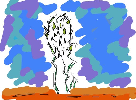 cactus