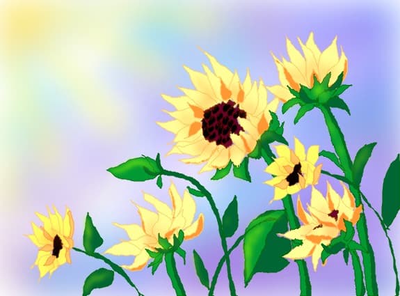 Leaning toward the Sun