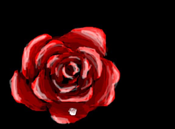 rose