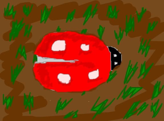 buline