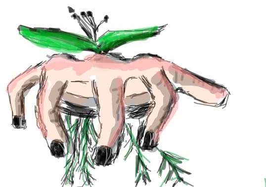 in loc sa arunci o hartie pe jos,planteaza o floare,in loc sa tai copaci planteaza copaci.