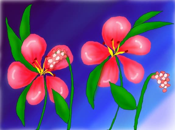 Unknown flowers