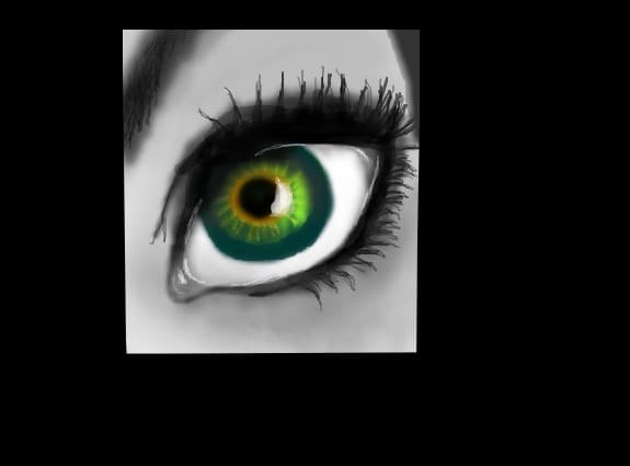 eye