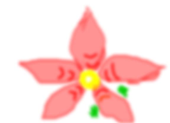floare