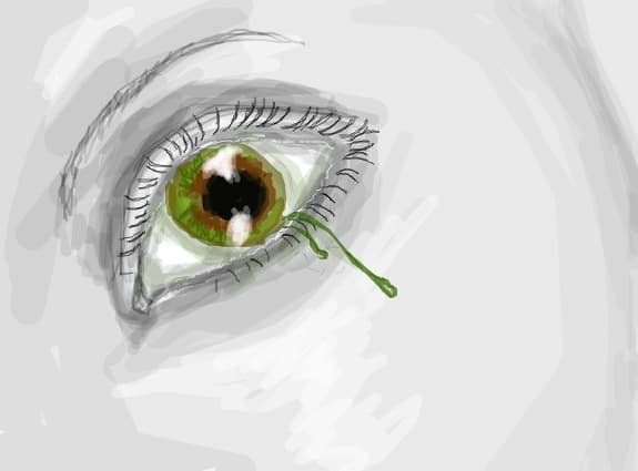 eye