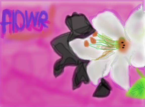 The flower