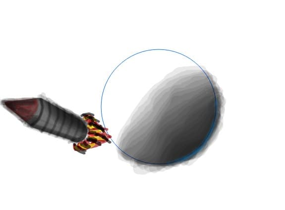 parasita