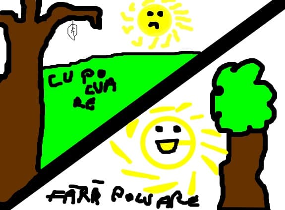 cu si fara poluare