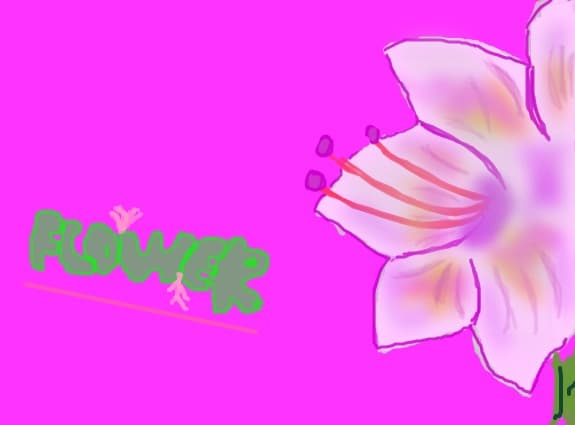 The flower