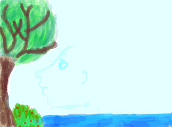 si natura are chip