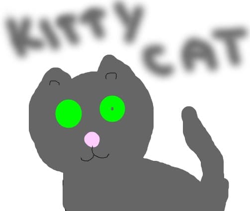 kitty cat
