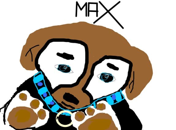 cutzu