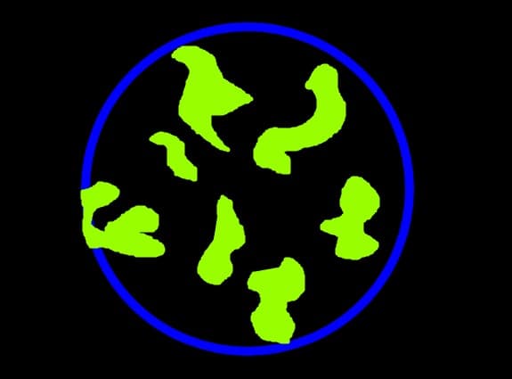 Terra Nepoluata