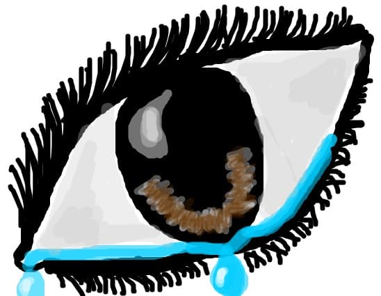 ochi