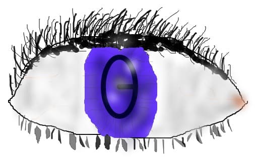 ochi