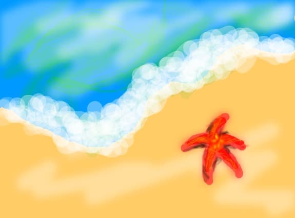 steluta de mare