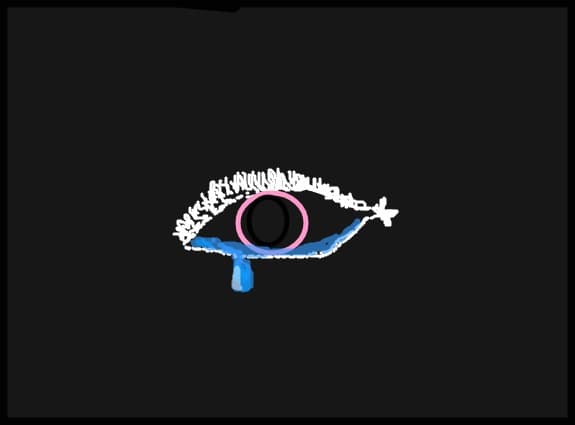 snow eye