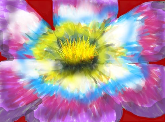 Floare