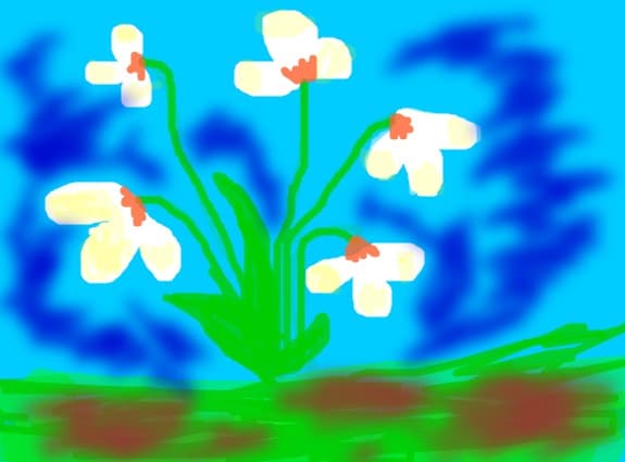 flower