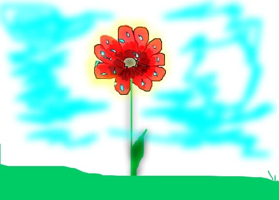 o floare