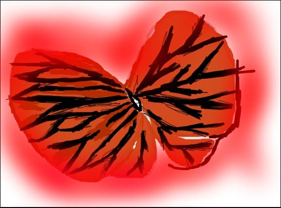 jigoku butterfly