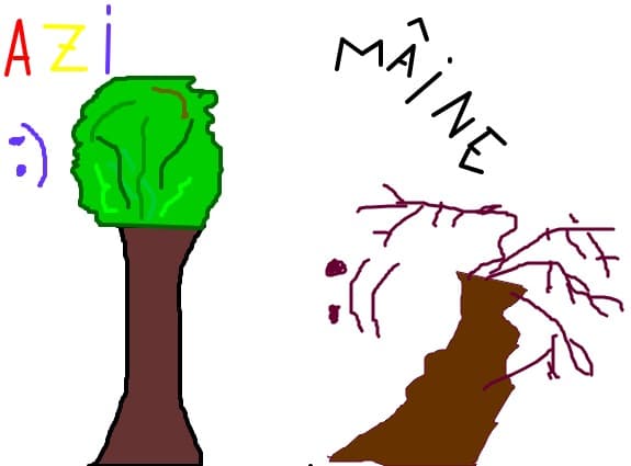 Eu am vrust sa scriu asa \"maine\"